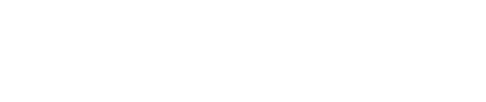 Sanchez Brasil