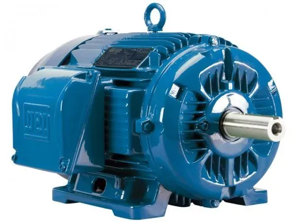 Motor trifásico W22 WEG